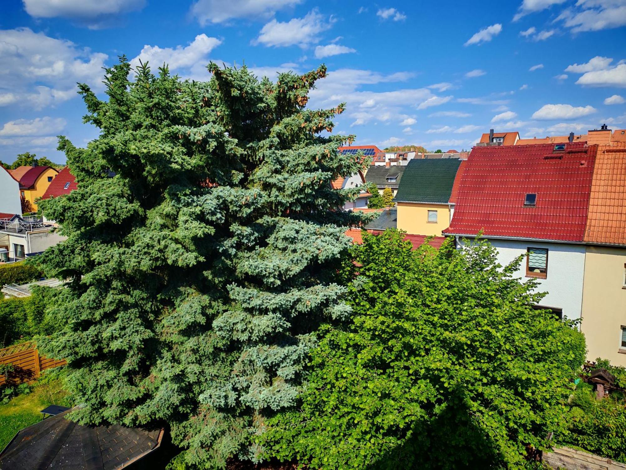 Domstadt Apartments Merseburg Bagian luar foto